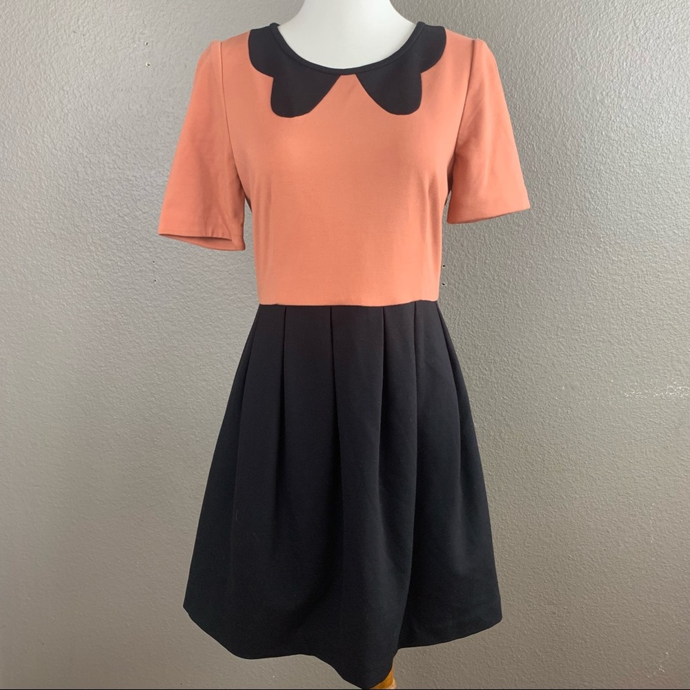 Coral and black fit and flare short sleeve dress